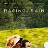 The Art of Racing in the Rain